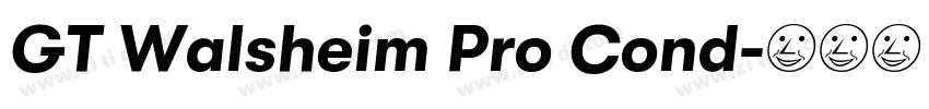 GT Walsheim Pro Cond字体转换